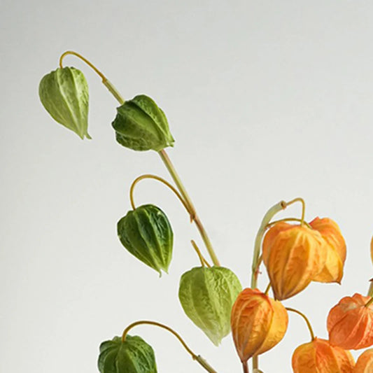 Home Party Wedding Decoration 1 PCS 71 Cm Beautiful Artificial Long Stem Red Lantern Flowers Silk Flowers